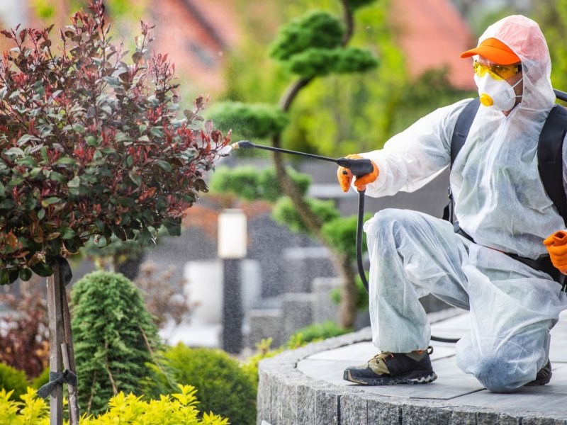 Gülnar Haşere İlaçlama